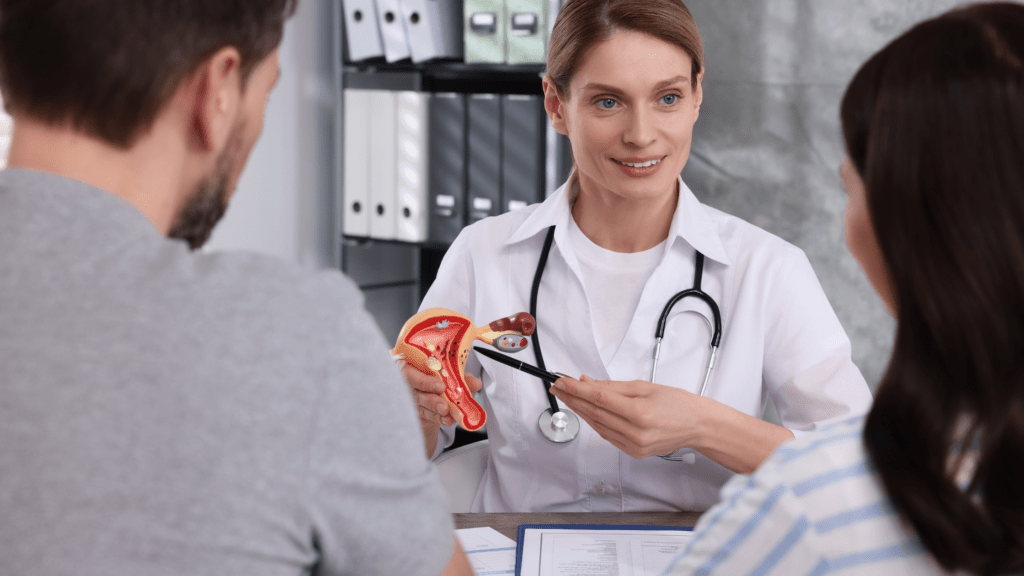 Fertility doctor demonstrating model of female reproductive system to couple in a clinic