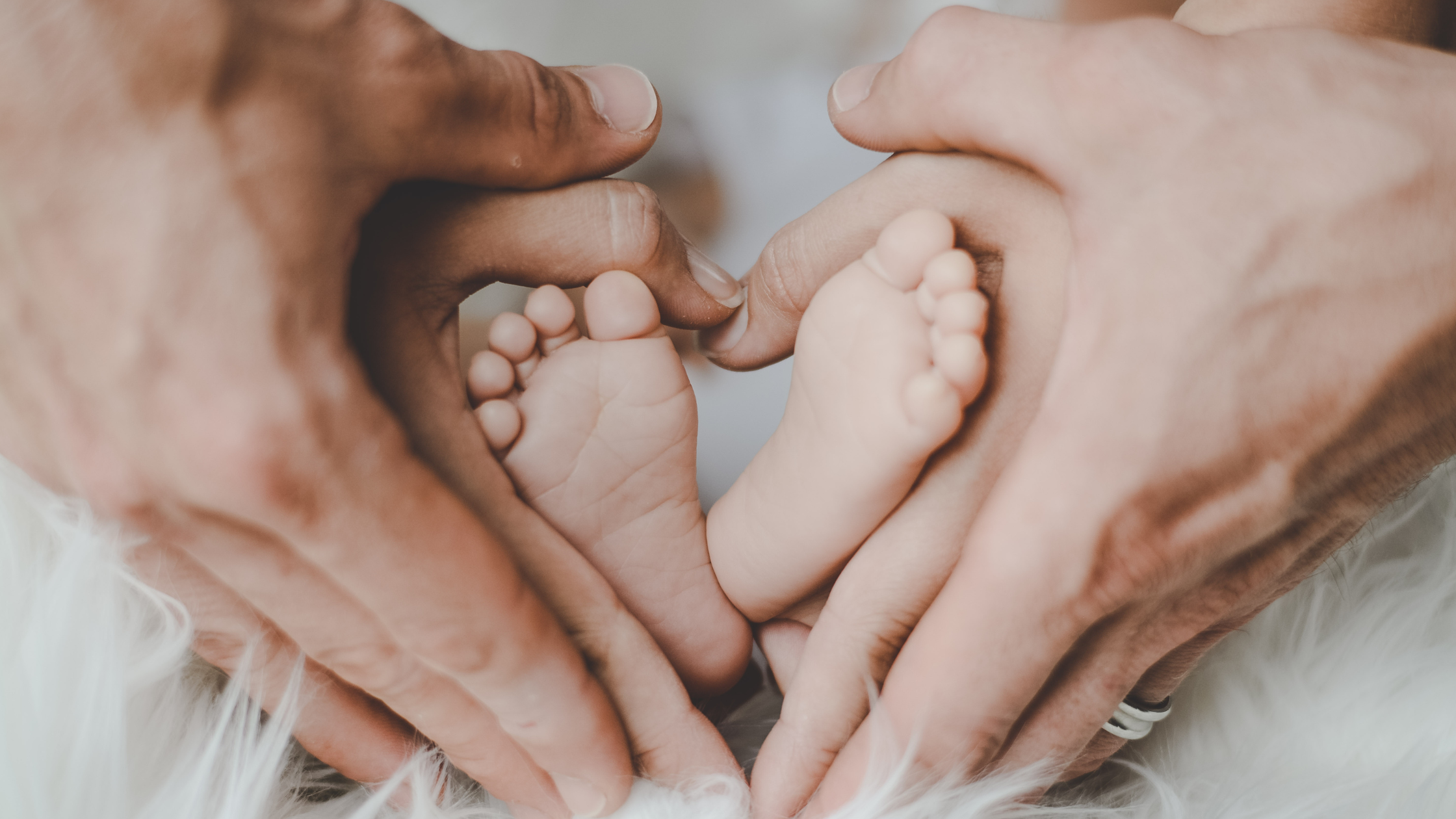 Parents holding new babies feet